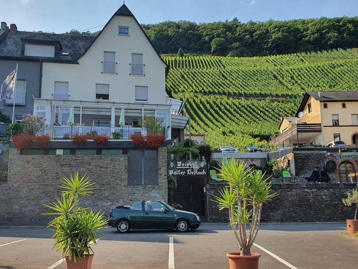 Hotel für 2 Personen, mit Terrasse in Ürzig - 3