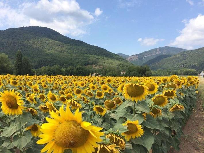 Location de vacances pour 2 personnes, avec terrasse et vue à Gérone - 3