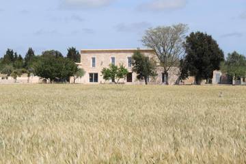 Finca in Montuïri, Mallorca Inselmitte Finca in Montuïri, Mallorca Inselmitte für 6