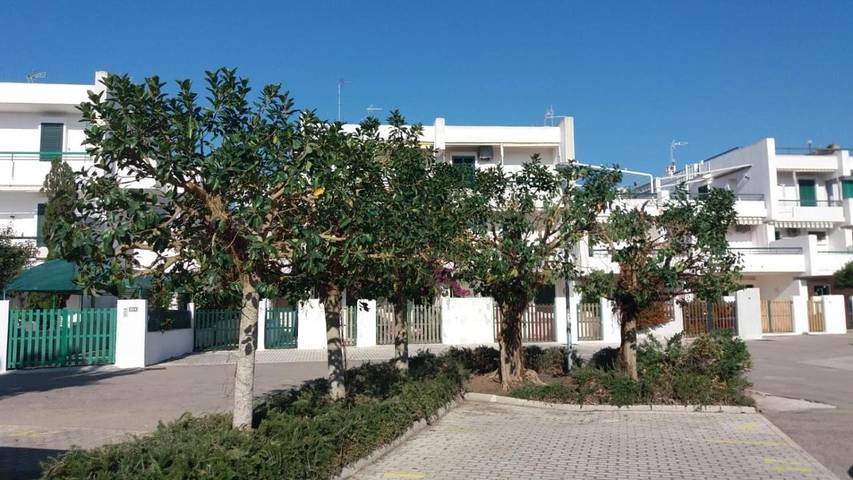 Holiday home for 5 people, with garden, with pets - 1