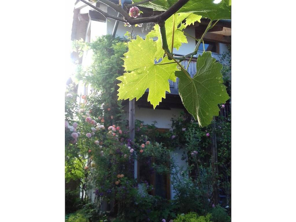 Mathilde Résidence de vacances tout confort in Pöcking (Haute-Bavière), Lac de Starnberg