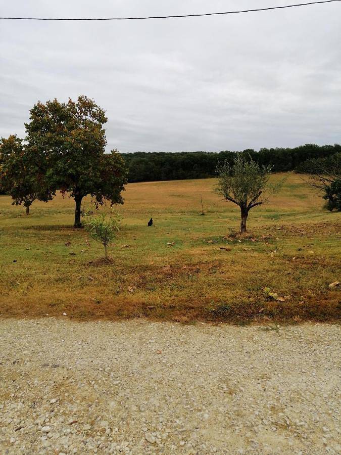 Location de vacances pour 4 personnes, avec Terrasse ainsi que Jardin et Vue dans Le Brouilh-Monbert