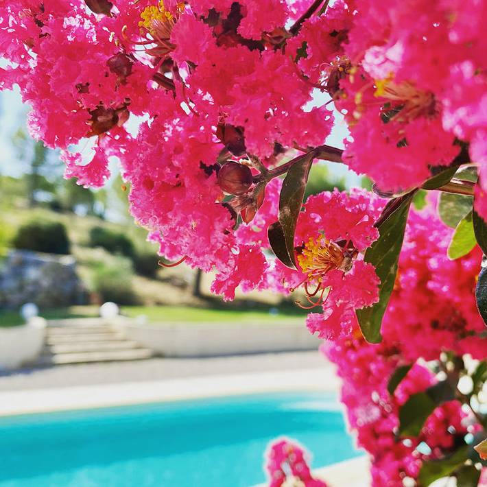 Chambre d’hôte pour 3 personnes, avec Terrasse ainsi que Jardin et Piscine