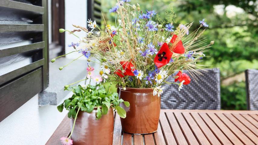 Ferienhaus für 6 Personen, mit Terrasse und Garten im Erzgebirge - 3