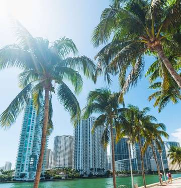 Studio for 2 Guests in Miami, Florida, Picture 1