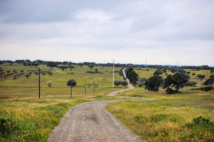 Location de vacances pour 4 personnes, avec terrasse, animaux acceptés à Castro Verde - 4