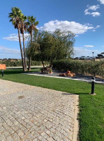 Casa De Férias para 5 Pessoas em Aldeia dos Fernandes, Distrito de Beja, Foto 4