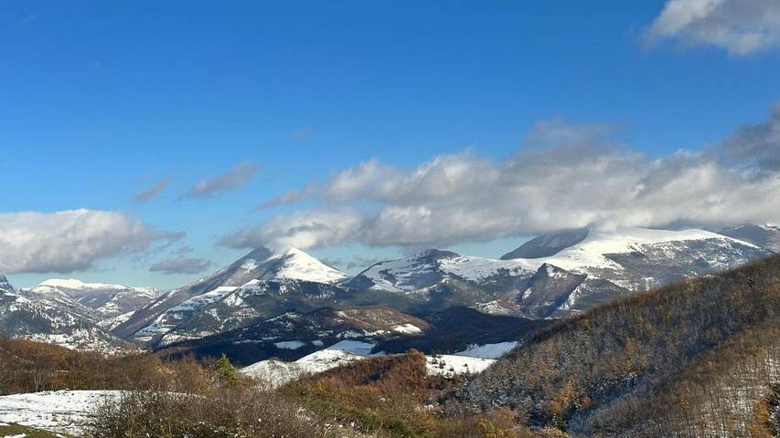 Chambre d’hôte pour 2 personnes, avec piscine ainsi que jardin et vue à Gubbio - 4