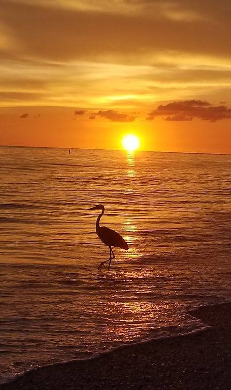Vacation rental for 6 people, with pool and hot tub as well as balcony in Madeira Beach
