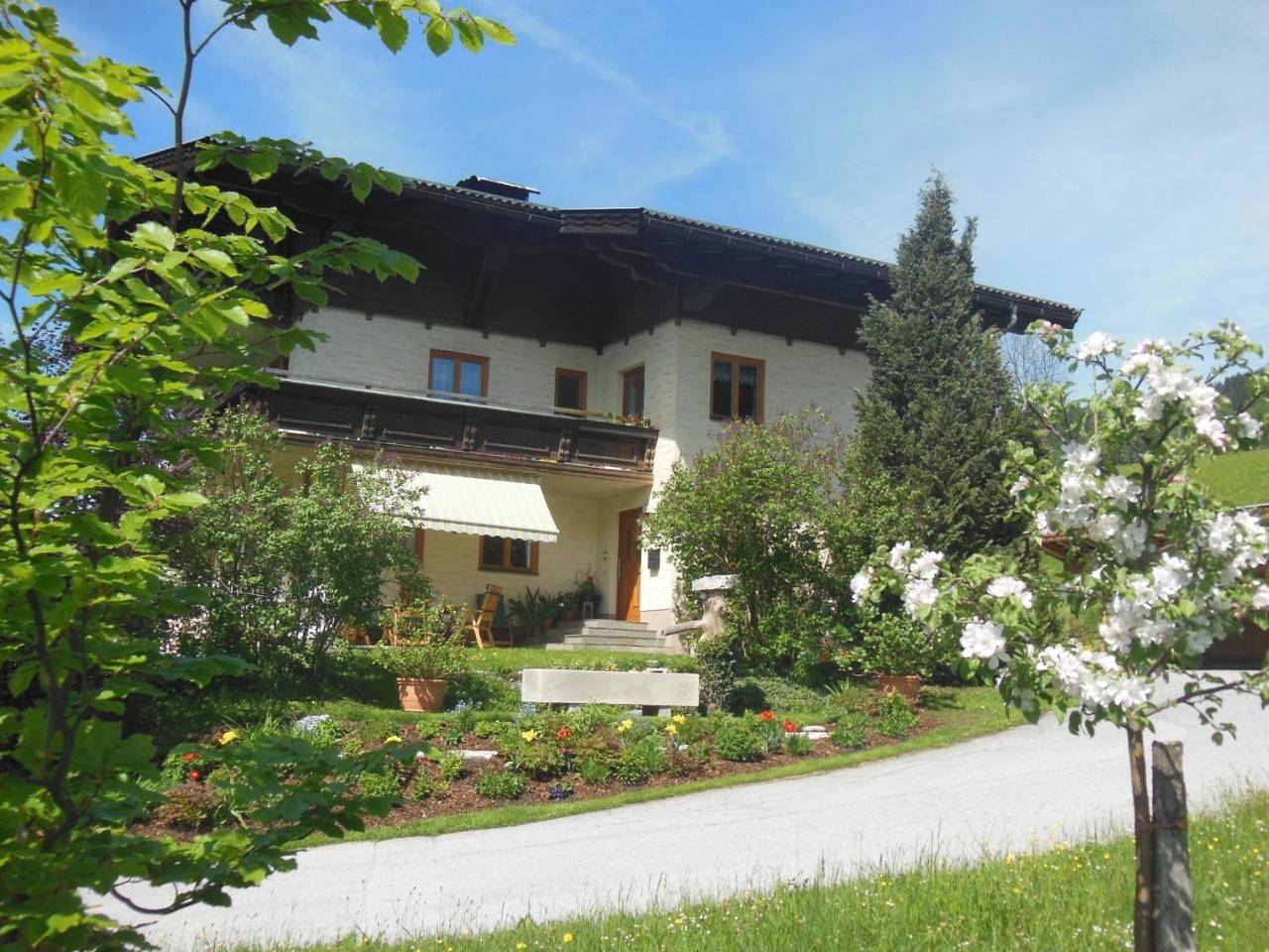 Ganze Wohnung, Haus Schönleiten in Wagrain, Ski Amadé