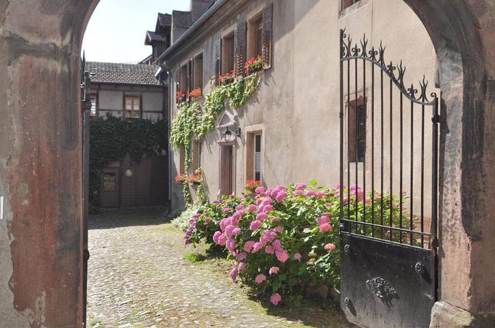 Location de vacances pour 2 personnes, avec Terrasse ainsi que Jardin et Vue à Riquewihr