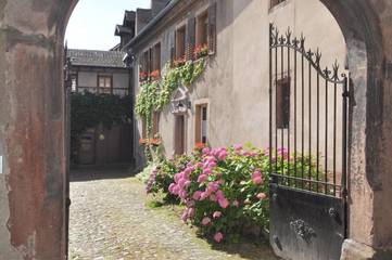 Gîte pour 2 personnes, avec jardin et vue à Riquewihr