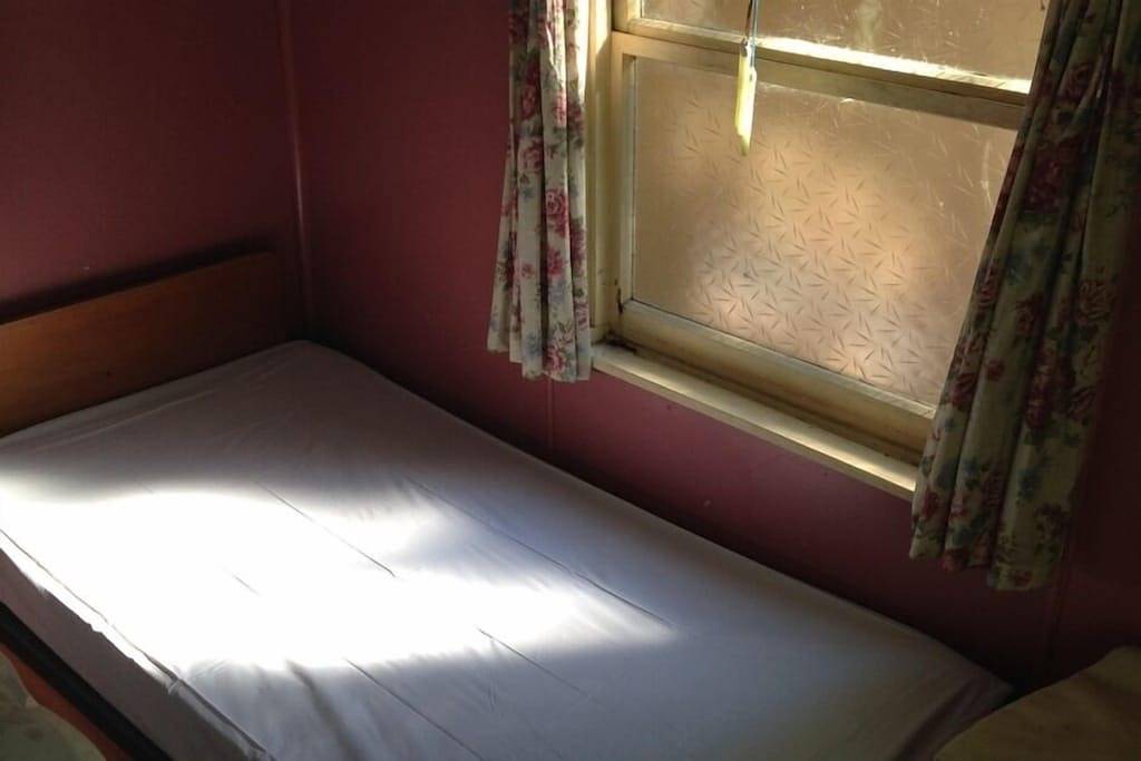 Ruhiger, abgelegener, ikonischer Buschbach in West Coast (Neuseeland)