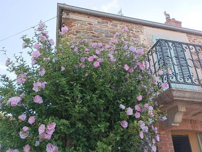 Location de vacances pour 7 personnes, avec Balcon ainsi que Terrasse et Jardin dans Thoste