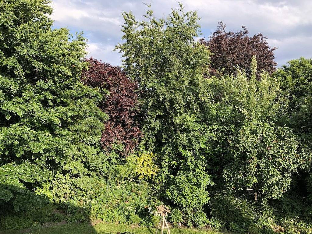 Ferienwohnung Grünewald Nordkirchen in Nordkirchen, Nordrhein-Westfalen
