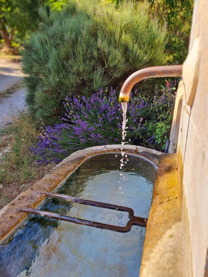 Gîte pour 2 personnes, avec piscine ainsi que jardin et sauna dans les Alpes-de-Haute-Provence - 4