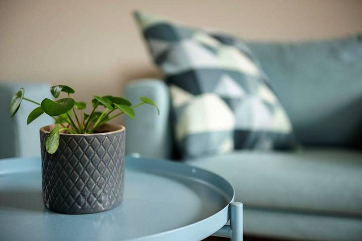 Location de vacances pour 2 personnes, avec terrasse et vue à Alost - 4