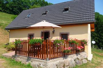 Gîte pour 5 personnes, avec terrasse, animaux acceptés dans Lac Noir