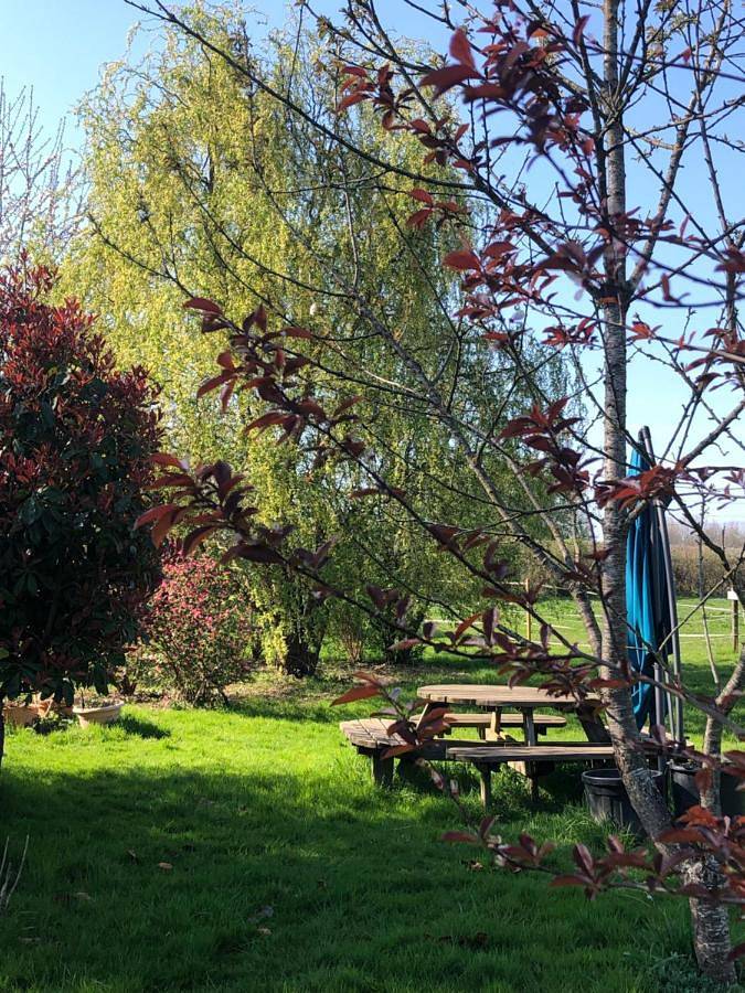 Chalet pour 3 personnes, avec jardin et vue, animaux acceptés dans le Nord-Pas-de-Calais - 4