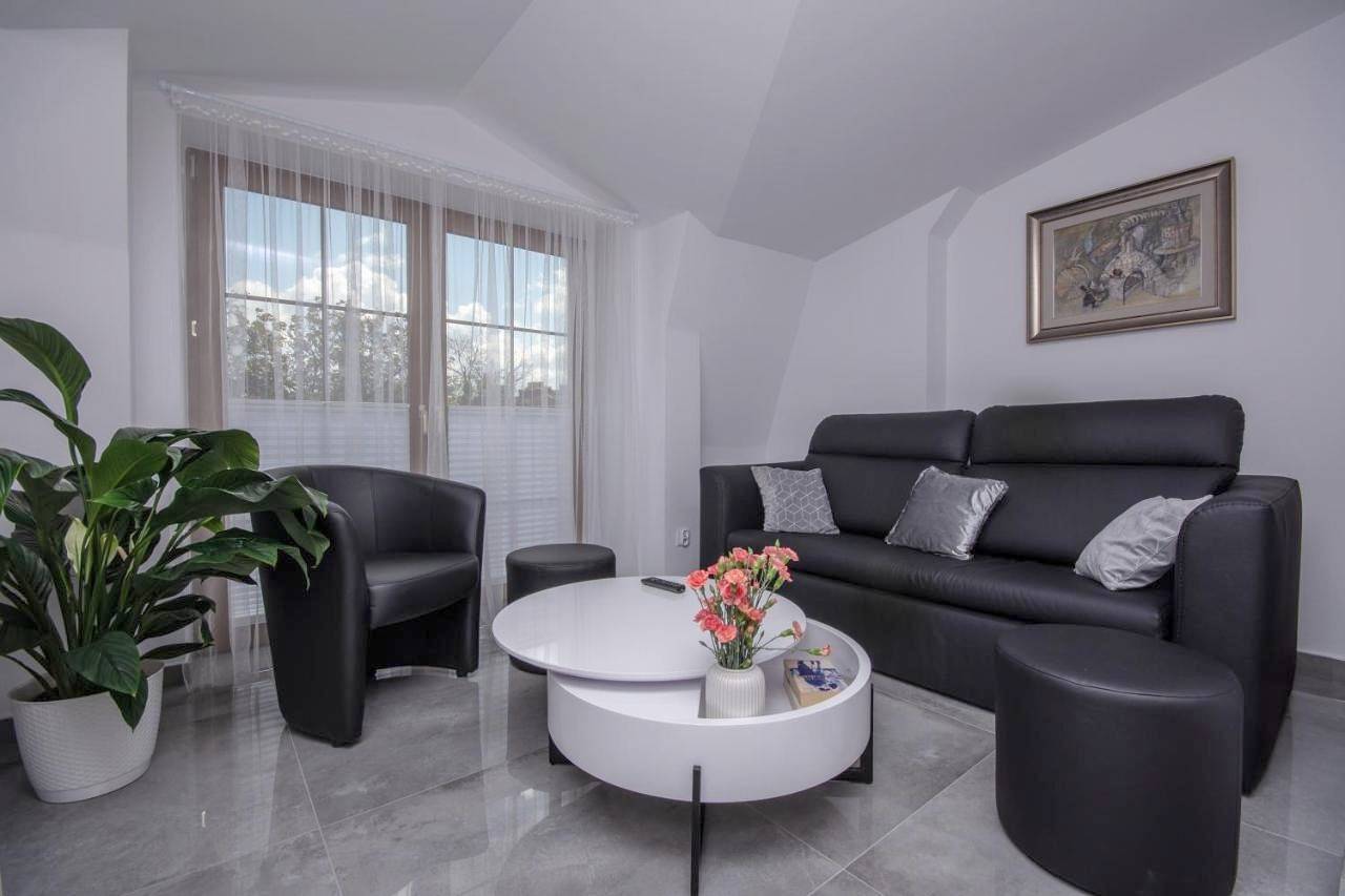 Cały apartament, Apartamenty Ap 17 in Częstochowa, Śląsk