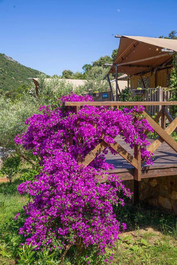 Sea Glamping in Opština Kotor