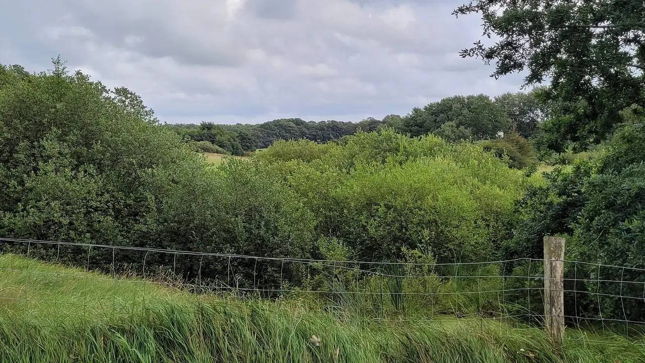 Ferienhaus für 6 Personen (90 m²) in Hovborg in Hovborg, Vejen