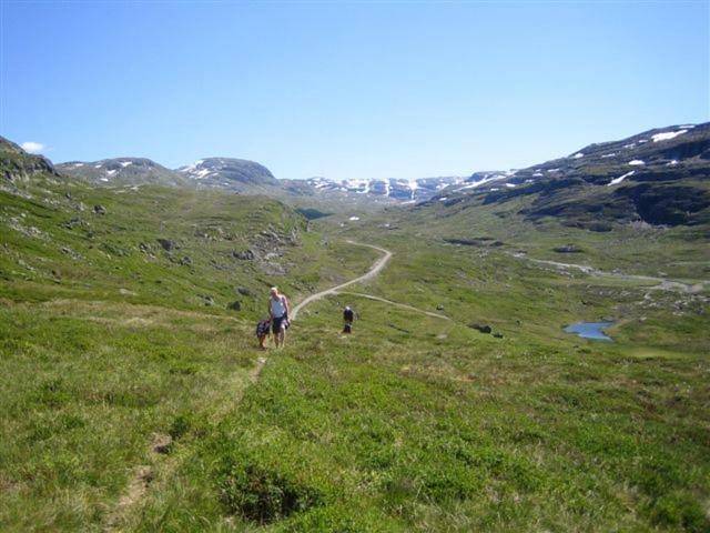Seim Camping - Røldal in Røldal, Odda