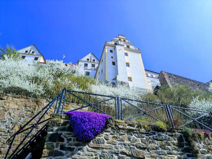 Ferienhaus für 8 Personen, mit Balkon und Terrasse sowie Garten und Sauna in Sächsisches Burgen- und Heideland - 2
