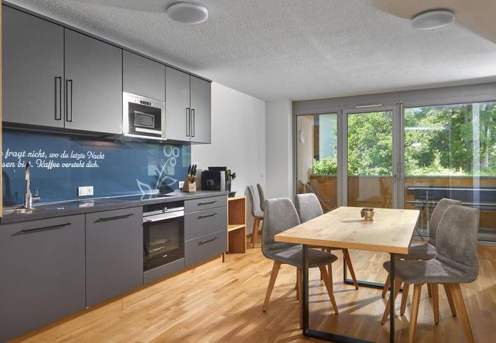 Ferienwohnung für 8 Personen, mit Garten und Ausblick sowie Sauna in Dalaas - 2