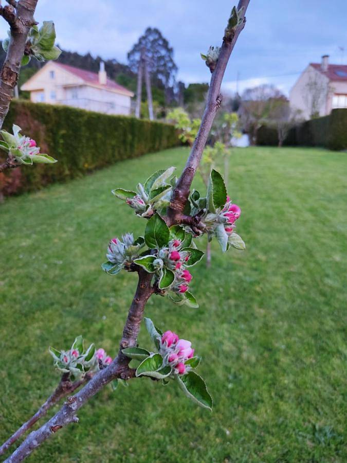 Gîte pour 3 personnes, avec jardin ainsi que piscine et vue à Padrón - 3