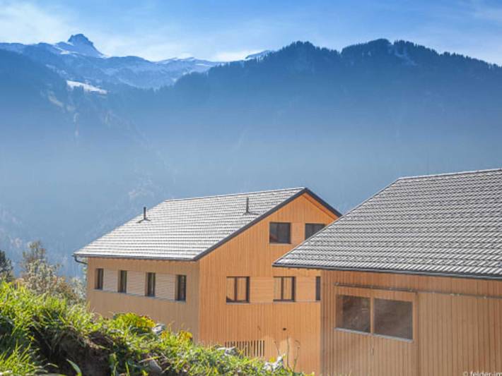 Ferienhaus für 5 Personen, mit Ausblick und Garten, kinderfreundlich in Mellau - 2