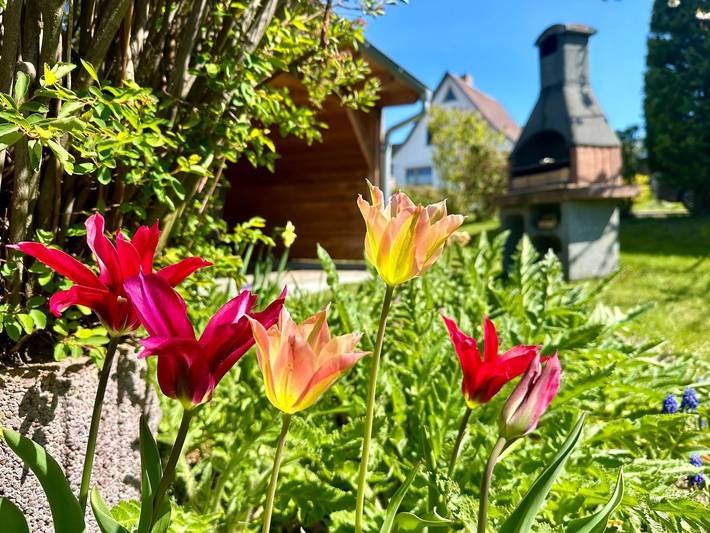 Ferienwohnung für 6 Personen, mit Terrasse in Thiessow - 3