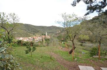 Casa Vacanza per 4 Persone in Comune di Dolcedo, Provincia di Imperia, Foto 3