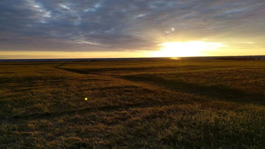 Ferienhaus für 7 Personen, mit Terrasse in Gedser - 4