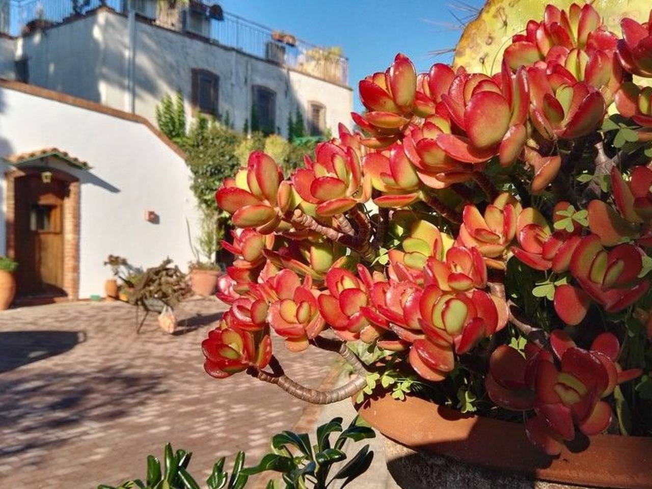 Für 12 Personen in Syrakus in Ognina, Siracusa