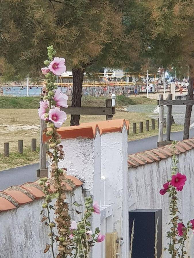 Location de vacances pour 6 personnes, avec vue sur le lac ainsi que vue et jardin dans Marennes-Plage