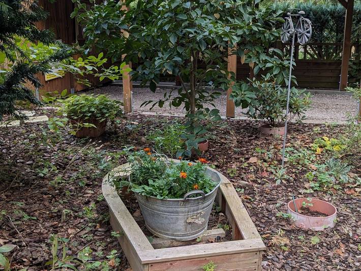 Ferienhaus für 4 Personen, mit Terrasse und Garten, kinderfreundlich am Fleesensee - 3