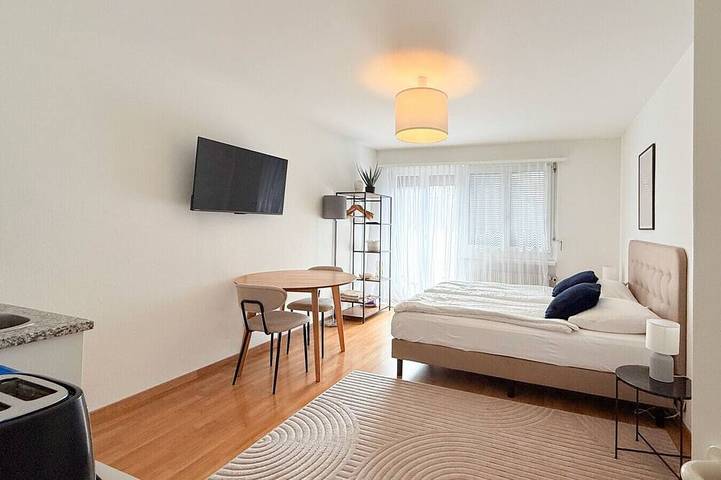 Ganze Wohnung, Cute studio in the center in Zürich, Bezirk Zürich