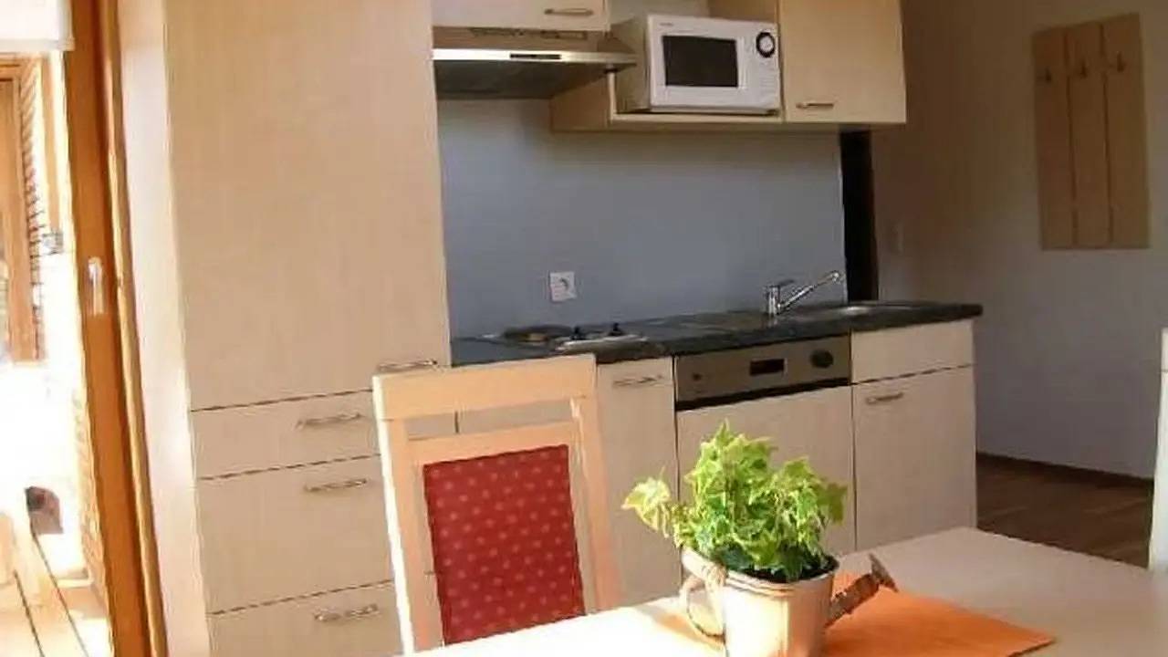 Geheel vakantieappartement, Vakantieappartement voor 3 personen met balkon in Schoppernau, Bregenzerwoud