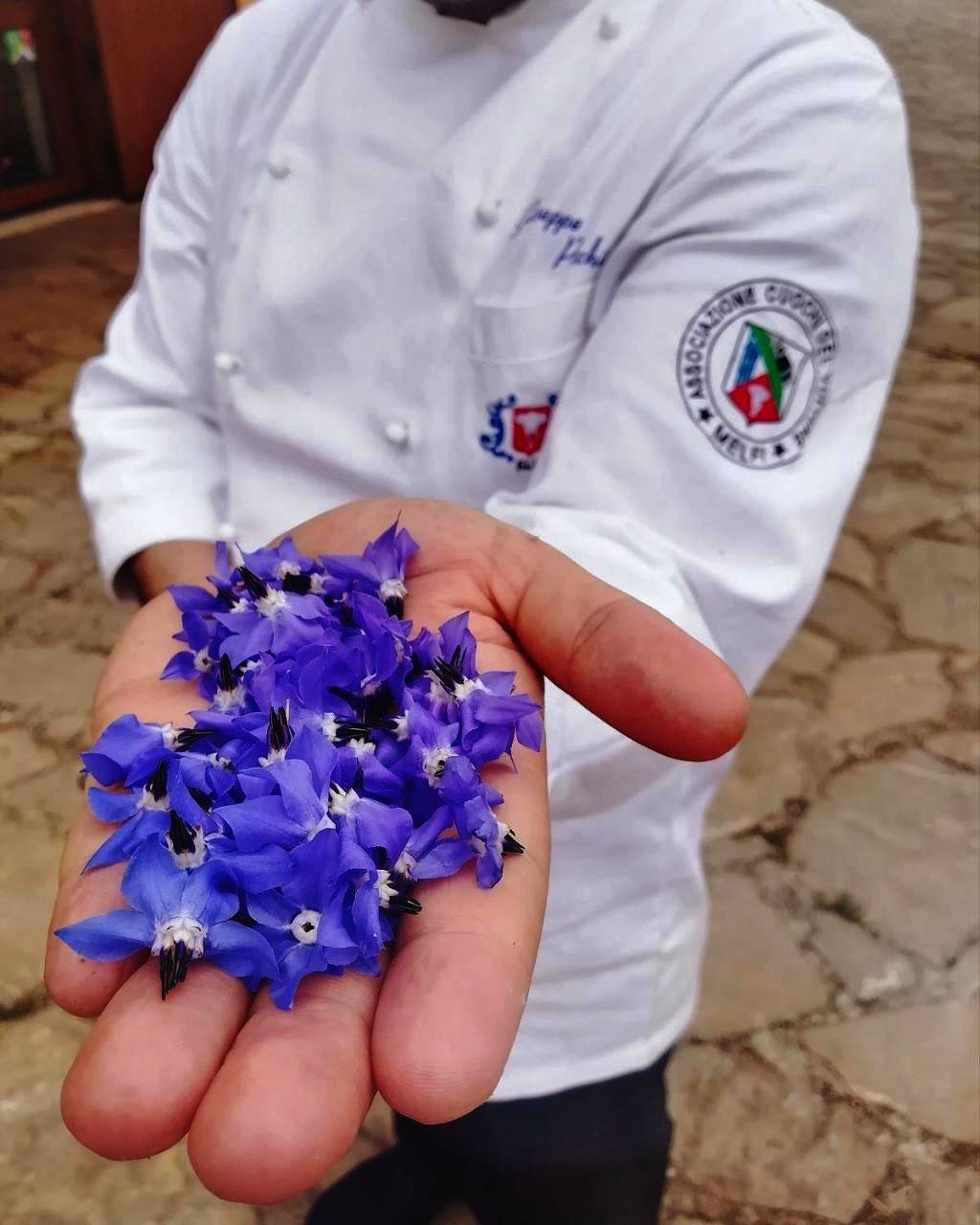 Agriturismo Il Riccio in Rionero in Vulture, Vulture