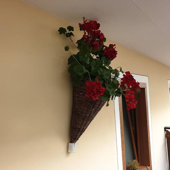 Gîte pour 3 personnes, avec vue et balcon à Santo Stefano di Cadore - 4