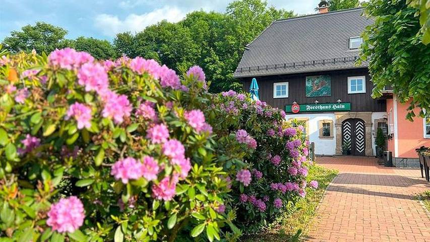 Ferienwohnung für 3 Personen in Oybin