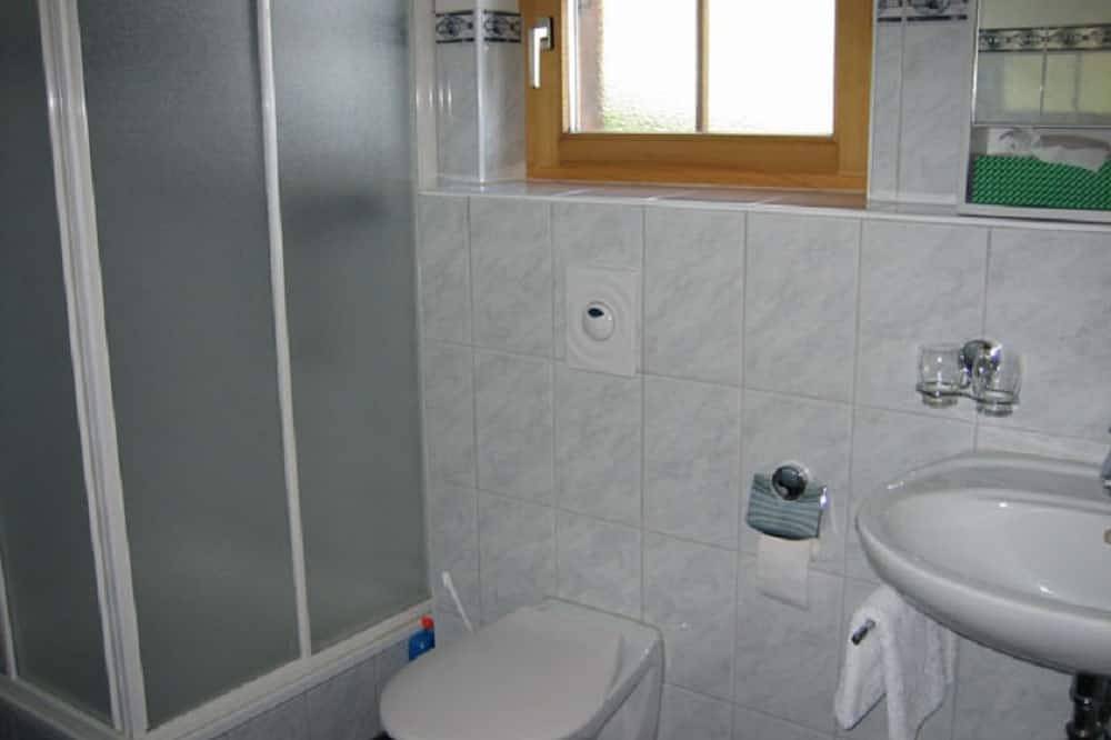 Ganze Wohnung, Er Liung, (Falera). 2 Zimmerwohnung in Falera, Flims Laax Falera