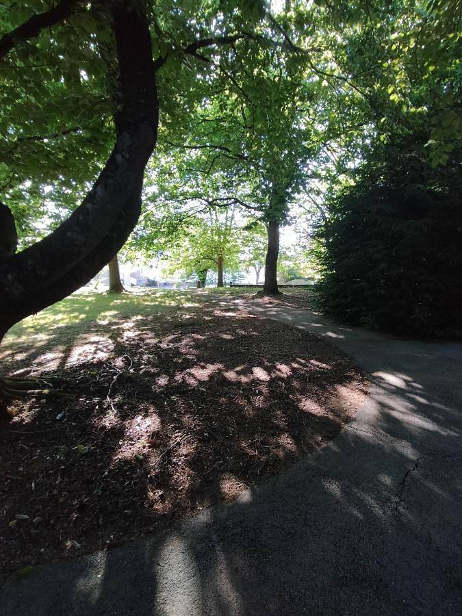 Gîte pour 9 personnes, avec vue et jardin, animaux acceptés à Raon-l'Étape - 4