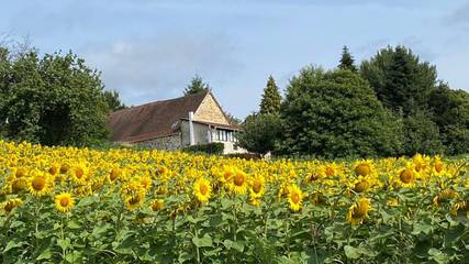 Location de vacances pour 4 personnes, avec jardin et vue à La Coquille