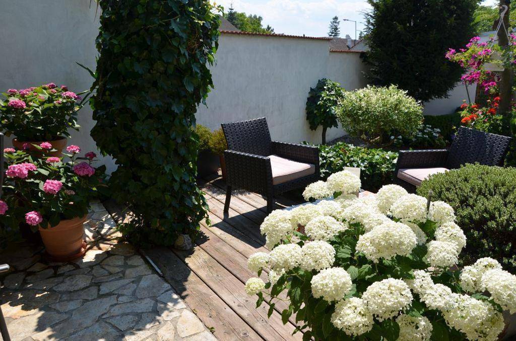 Double Room with Bath in Apetlon, Neusiedlersee-Hügelland