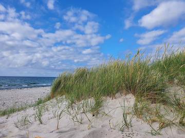 Feriehus til 8 Personer i Rørvig, Odsherred, Bilde 4