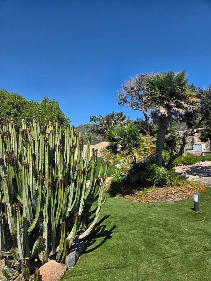 Villa Di Fiore - private villa up to 10 guests with pool sauna and gym in Geremeas, Maracalagonis