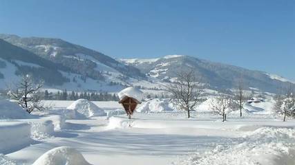Bauernhof für 4 Personen in Loferer und Leoganger Steinberge, Leogang, Bild 4