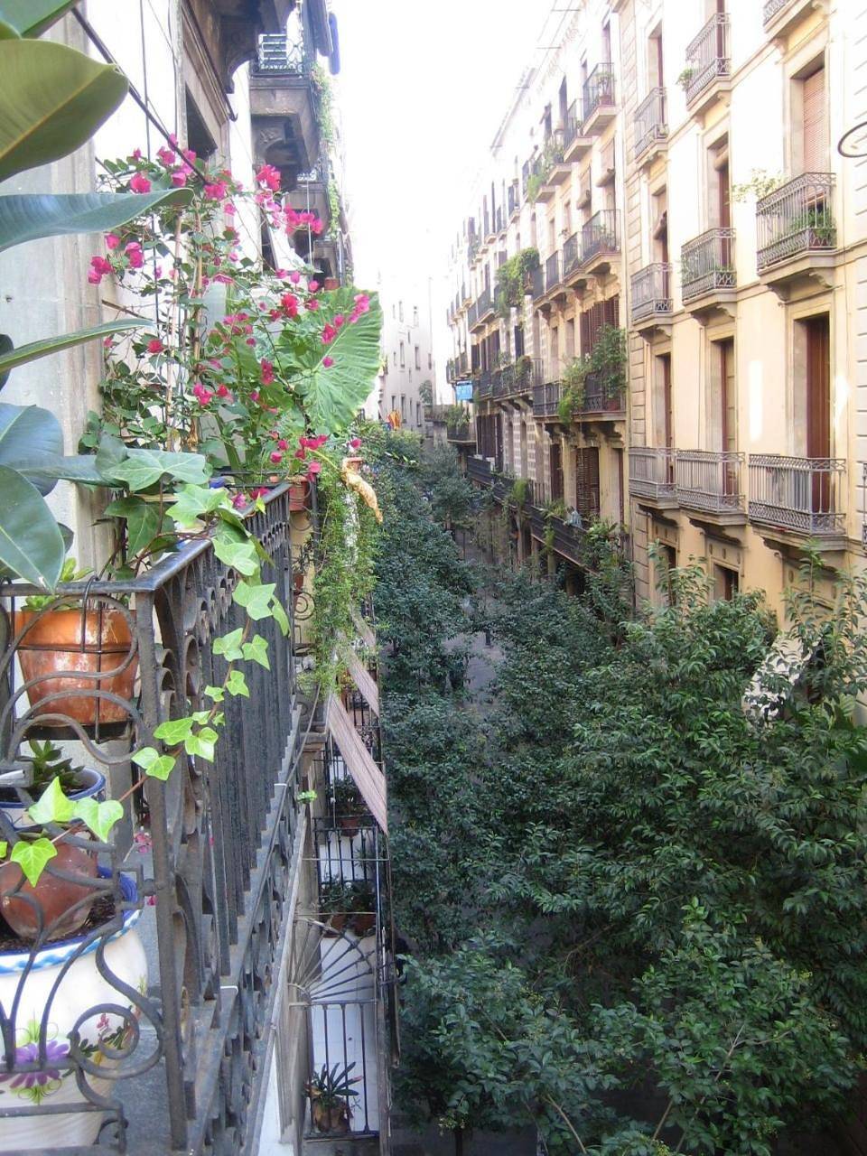 Single Room with Shared Bathroom in Centro Barcelona, Barcelona
